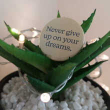 Load image into Gallery viewer, Never Give Up On Your Dreams 38mm Button Badge
